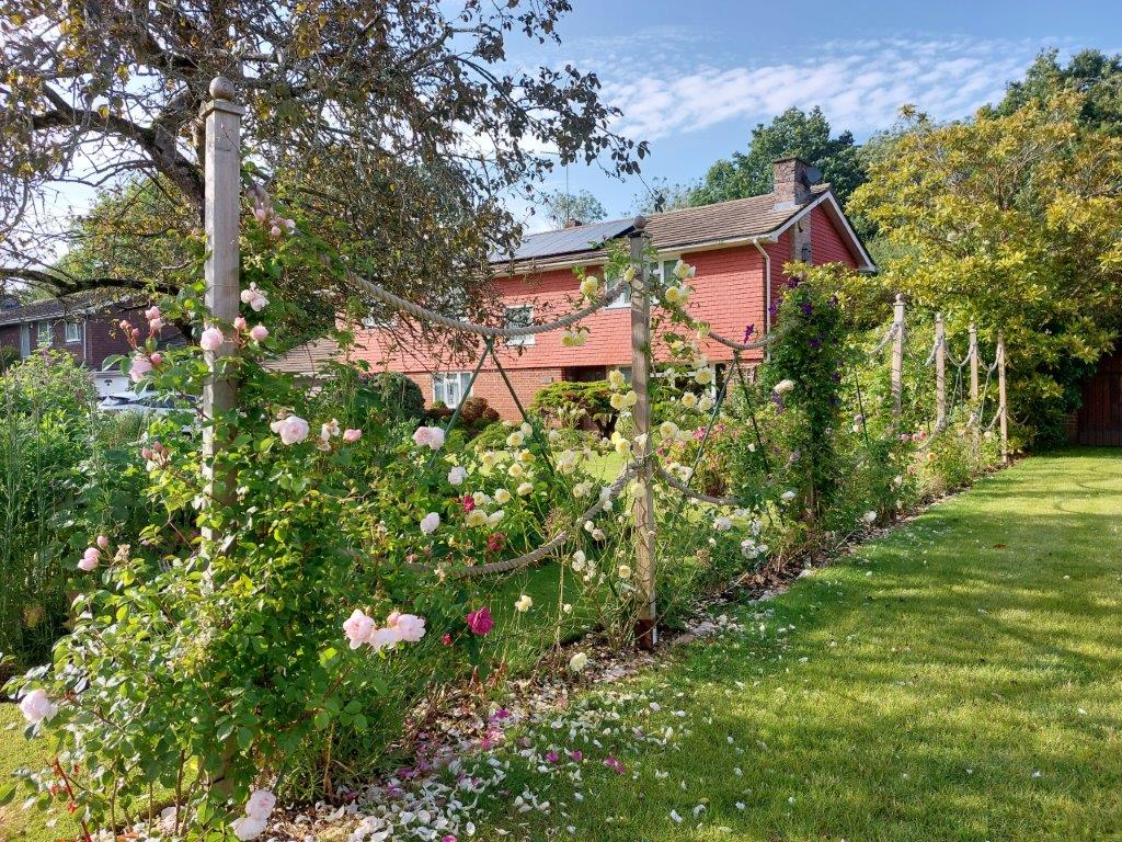 Natural or synthetic rope for my garden?