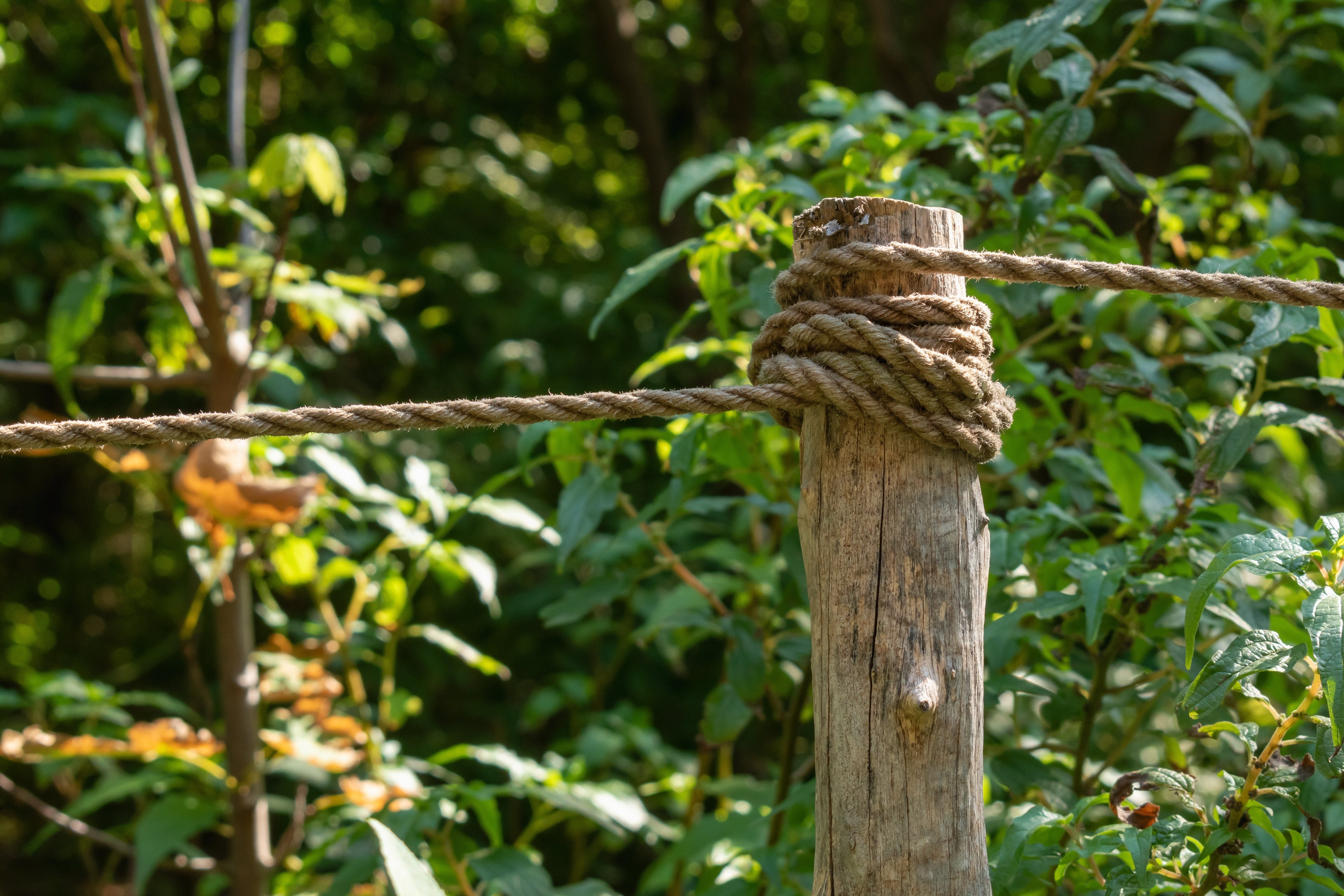 Gardening ideas for small gardens - rope-wrapped fence post