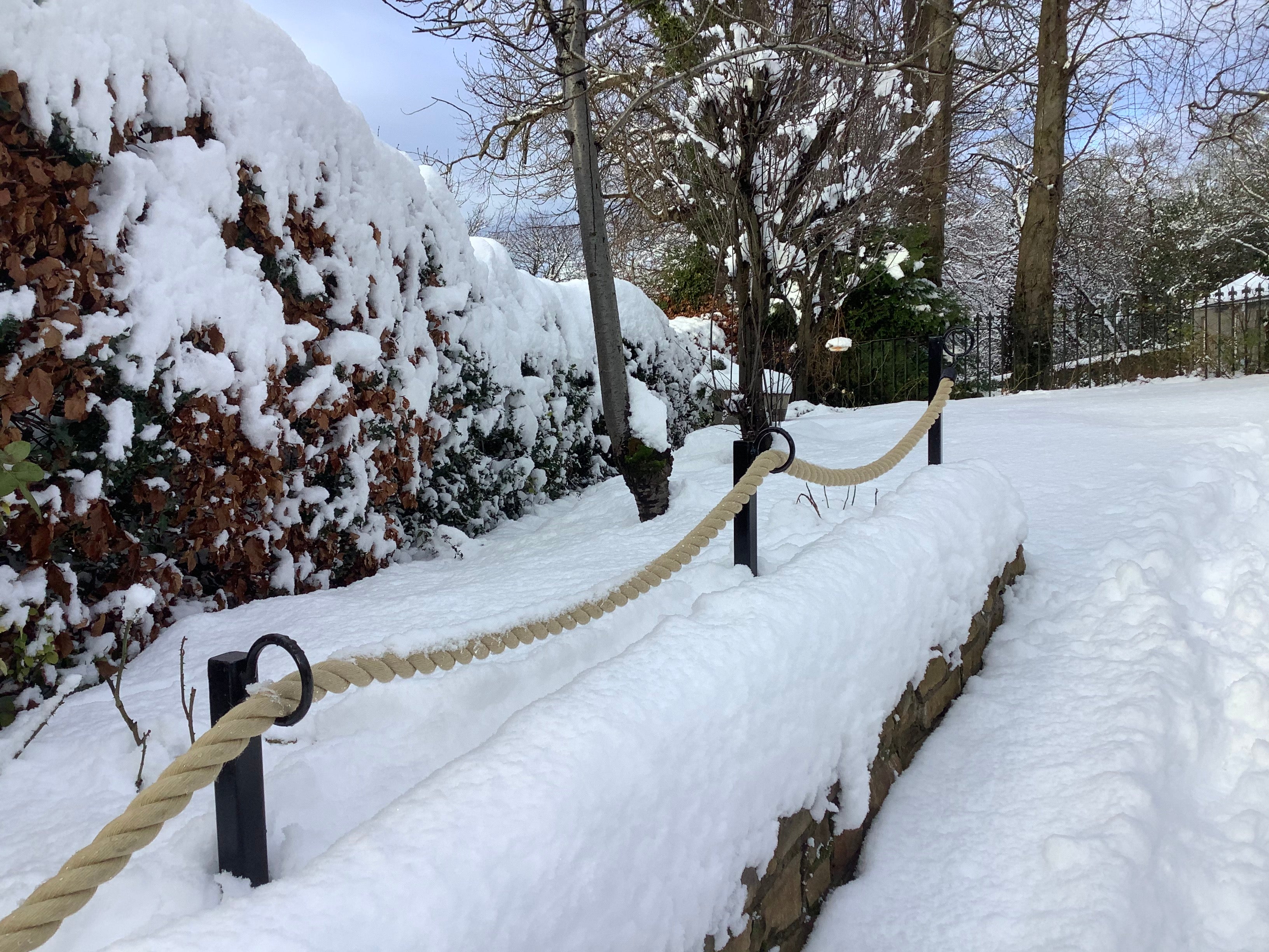 Snow-covered pathway with a rope barrier and trees in the background