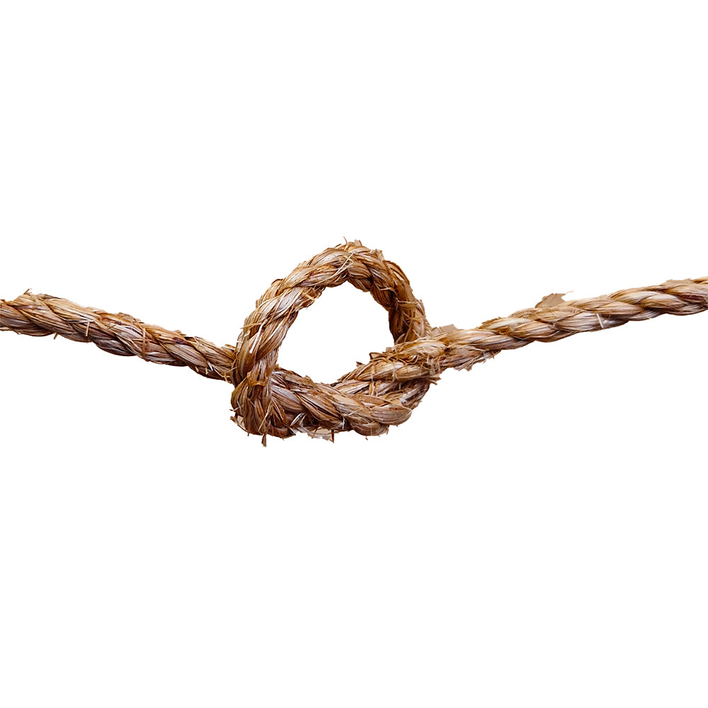 Close-up of a knotted rope on a white background
