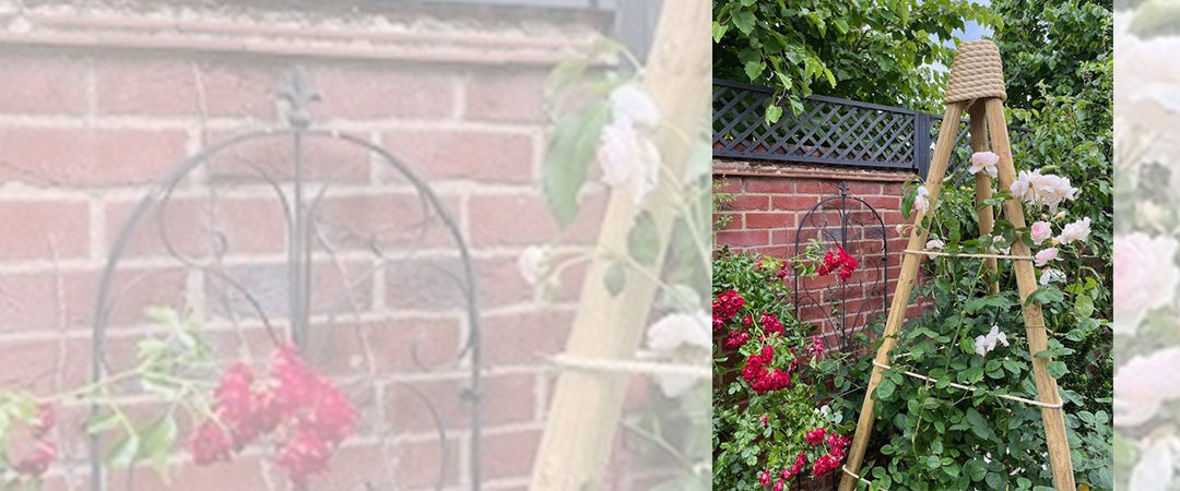 Make this clever rose tripod for your garden!