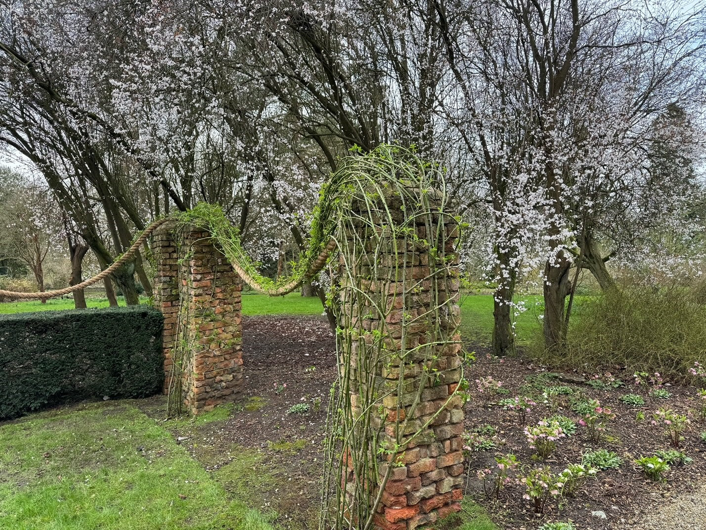Brick archway with climbing plants along manila rope in a garden setting with trees and flowers.